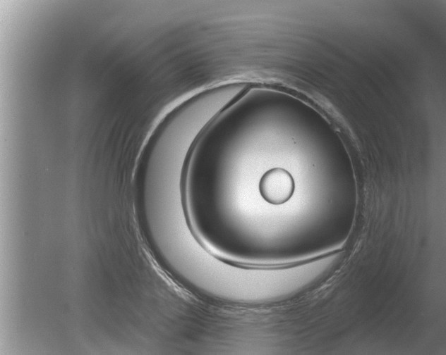 X0000080150838200612221947