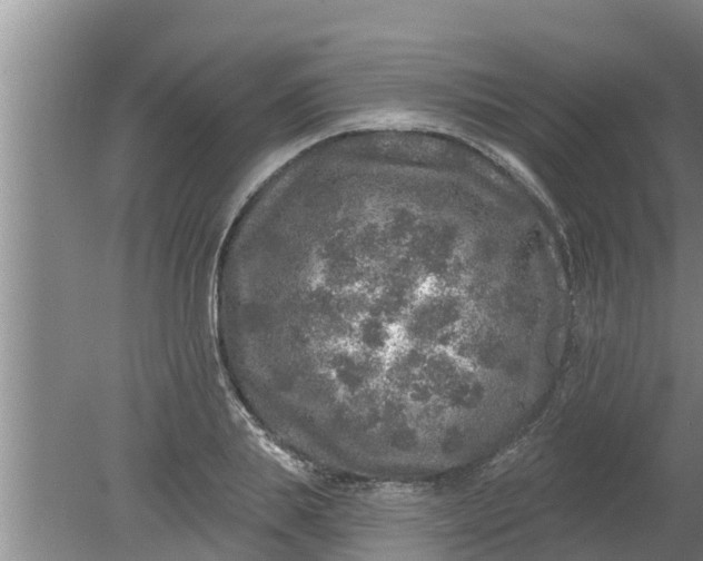 X0000080150839200612221947