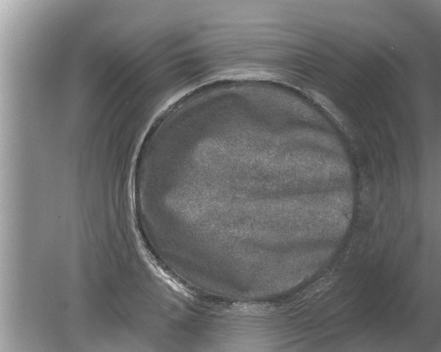 X0000080150840200612221947