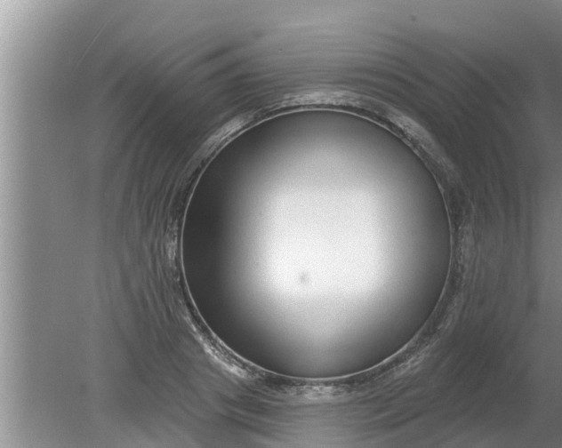 X0000080150841200612221947