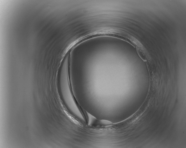 X0000080150842200612221947