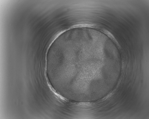 X0000080150844200612221947