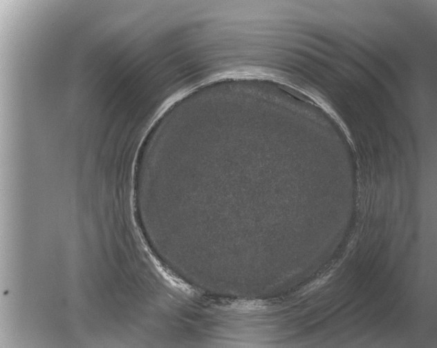 X0000080150845200612221947