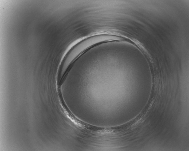 X0000080150846200612221947