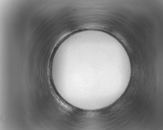 X0000080150848200612221947