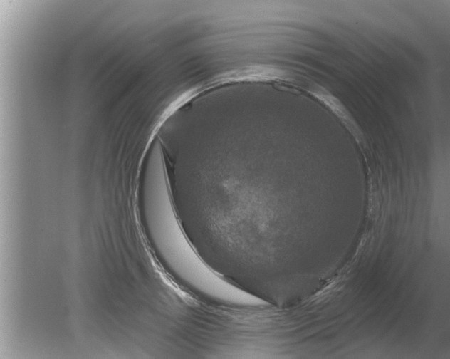 X0000080150850200612221947