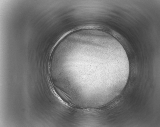 X0000080150852200612221947