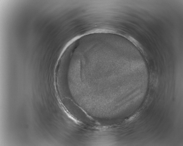 X0000080150854200612221947