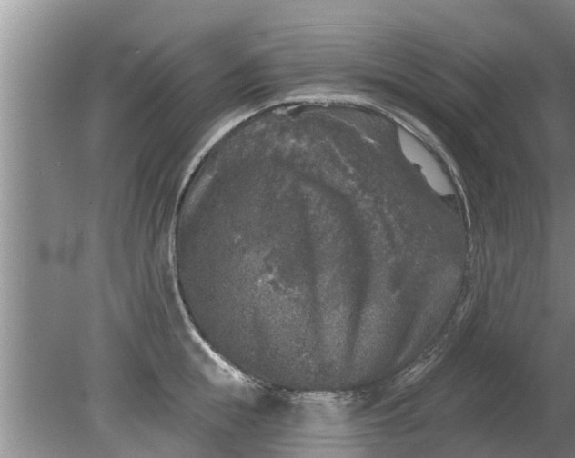 X0000080150855200612221947