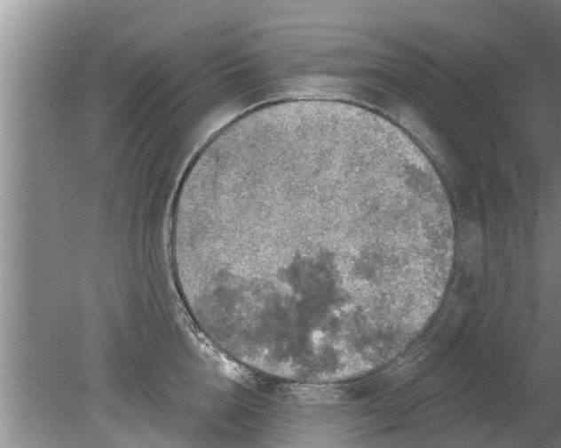 X0000080150856200612221947