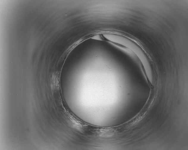 X0000080150857200612221947