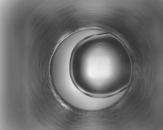 X0000080150858200612221947