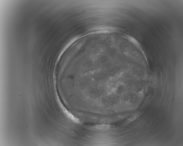 X0000080150859200612221947