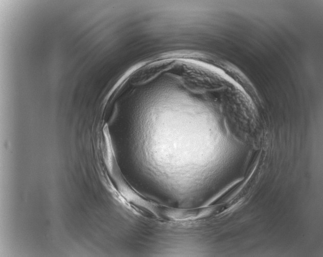 X0000080150860200612221947