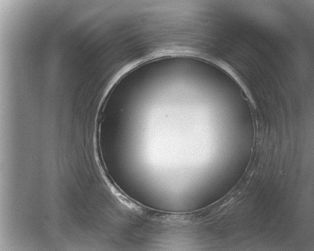 X0000080150861200612221947