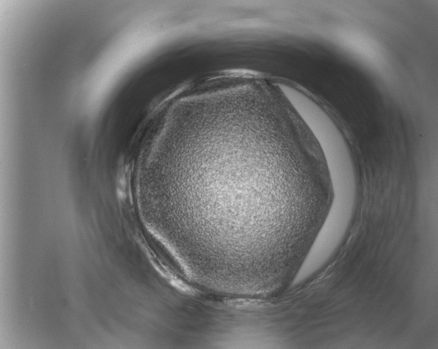 X0000080150862200612221947