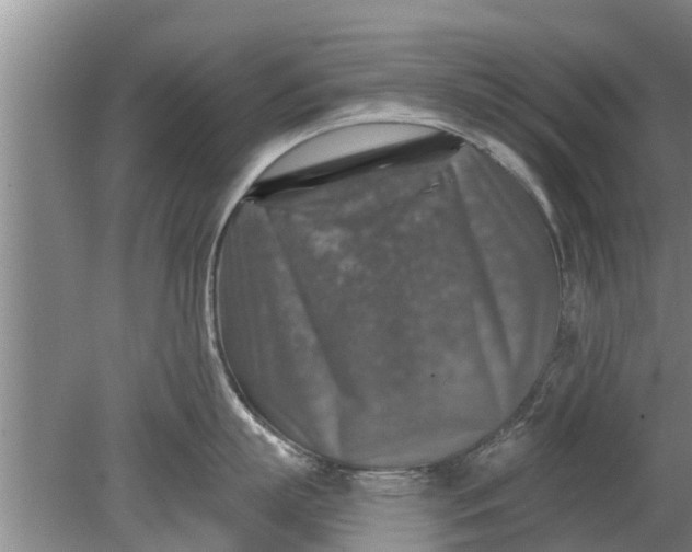 X0000080150863200612221947