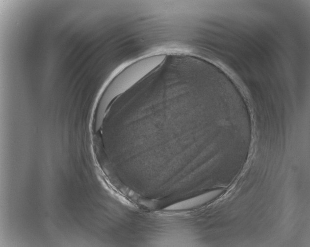 X0000080150864200612221947