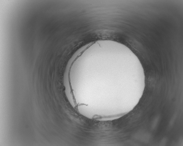 X0000080150865200612221946