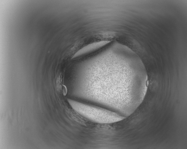 X0000080150866200612221946