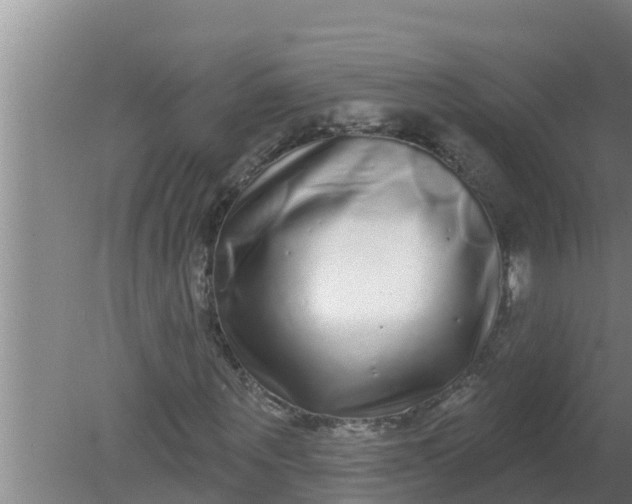 X0000080150867200612221946