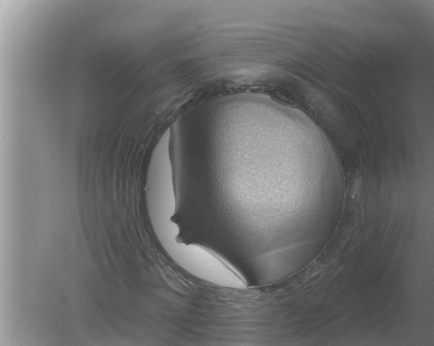 X0000080150868200612221946