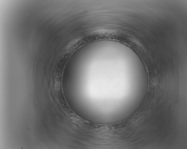 X0000080150869200612221946