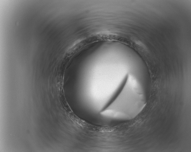 X0000080150870200612221946