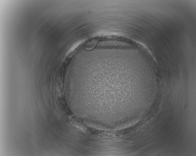 X0000080150871200612221946