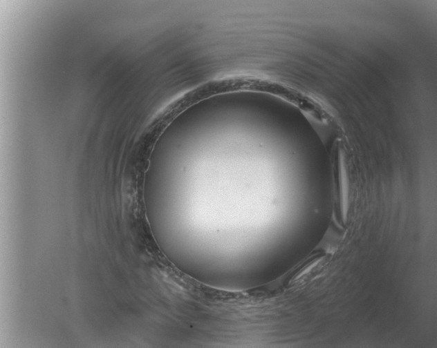 X0000080150872200612221946