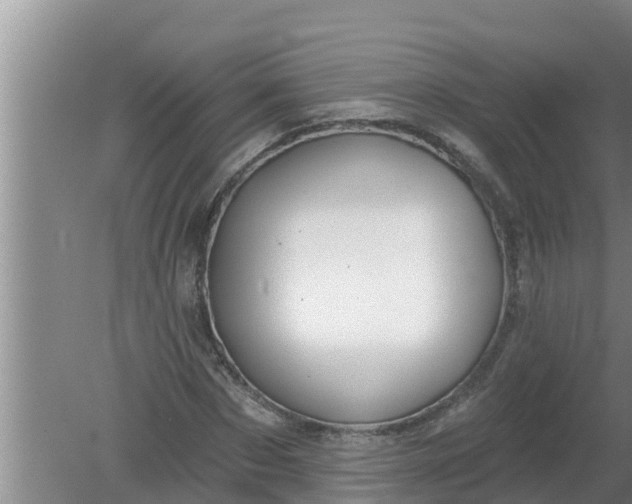 X0000080150873200612221946