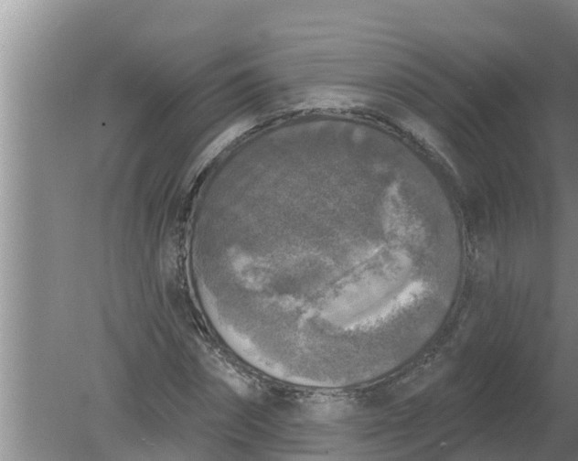 X0000080150874200612221946