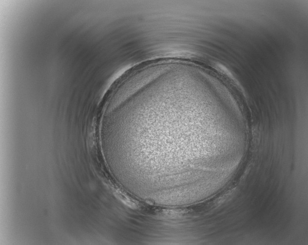 X0000080150875200612221946