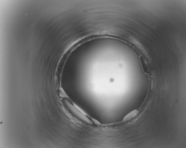 X0000080150876200612221946