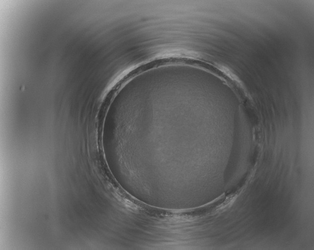 X0000080150877200612221946