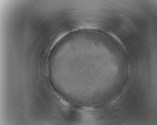 X0000080150878200612221946