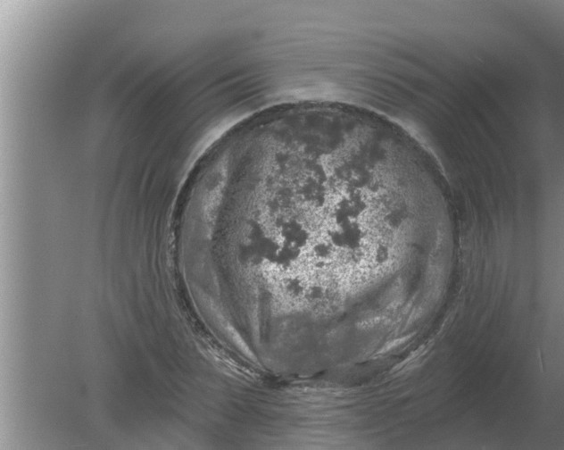 X0000080150879200612221946