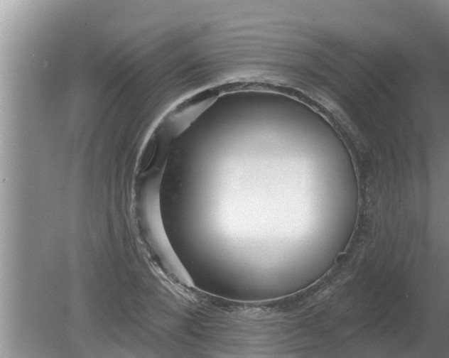 X0000080150880200612221946