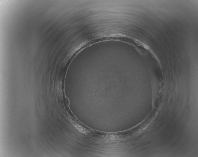 X0000080150881200612221946