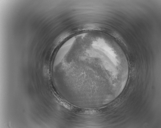 X0000080150882200612221946