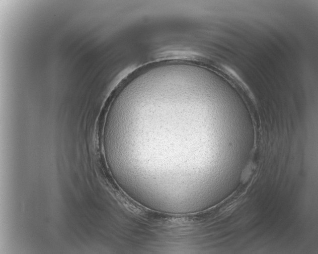 X0000080150883200612221946