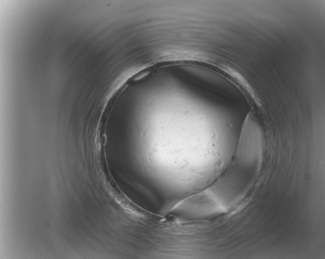 X0000080150885200612221946