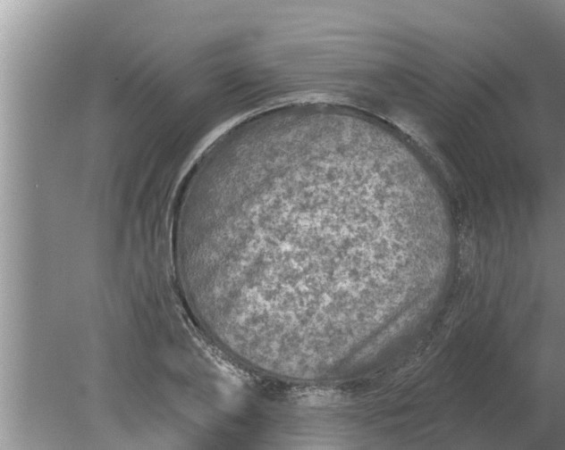 X0000080150886200612221946