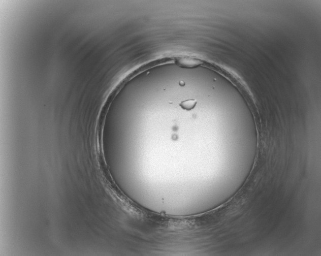 X0000080150887200612221946