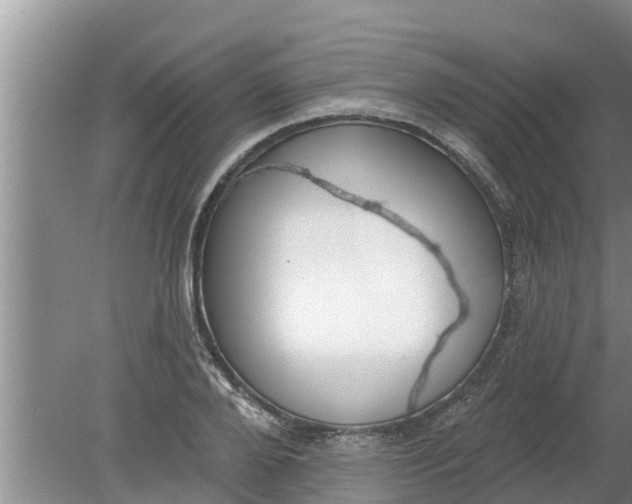 X0000080150888200612221946