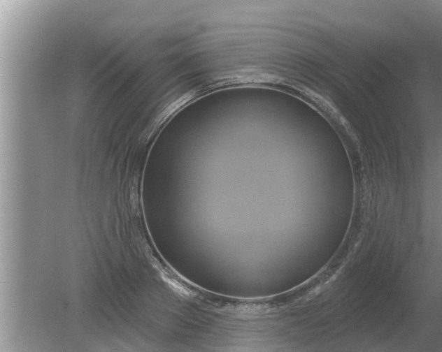 X0000080150889200612221946