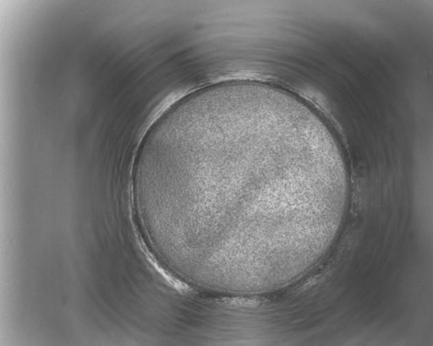 X0000080150890200612221946