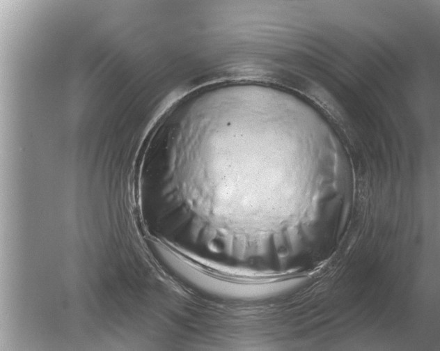 X0000080150891200612221946