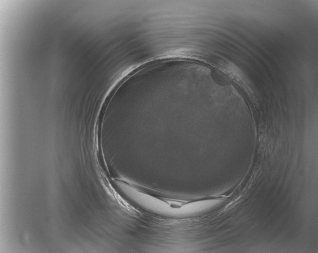 X0000080150892200612221946