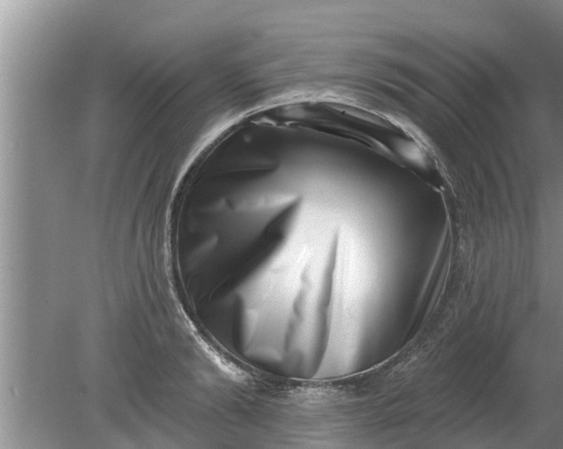 X0000080150894200612221946